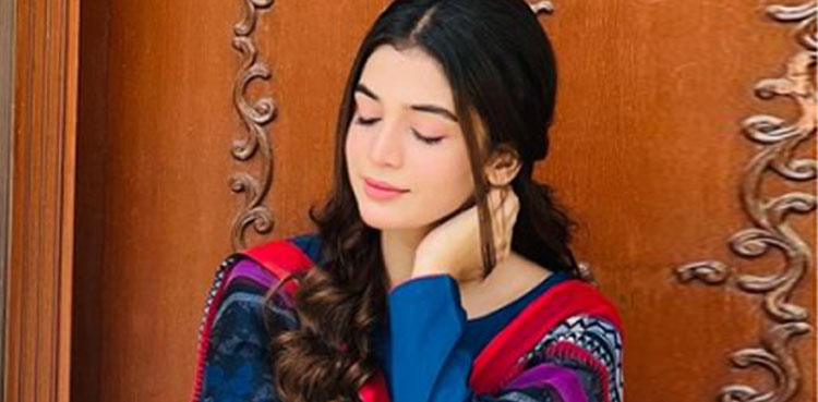 ہمسفر کیسا ہو؟ اداکارہ لائبہ خان نے بتادیا