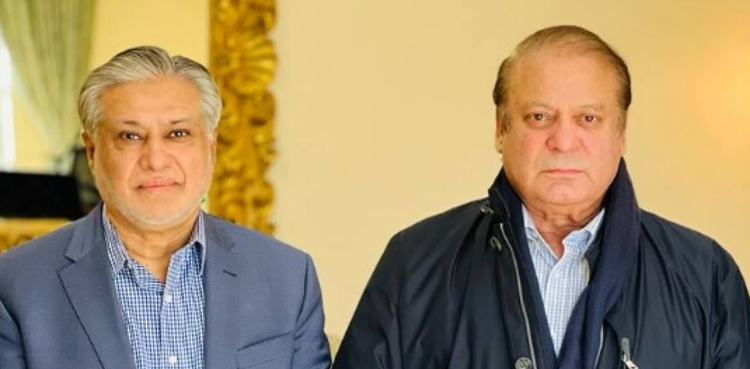 نواز شریف نے وزیر اعظم کی جگہ اسحاق ڈار کو خصوصی ٹاسک دے دیا