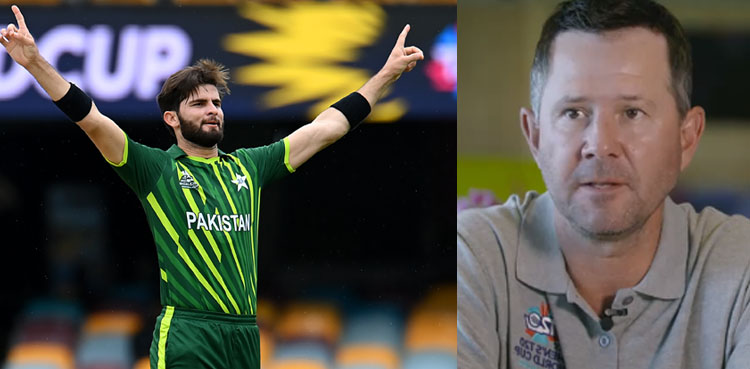 رکی پونٹنگ نے شاہین آفریدی سے متعلق پیش گوئی کردی