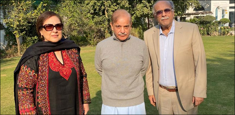وزیر اعظم شہباز شریف نے نجم سیٹھی کو نیا چیئرمین پی سی بی بنانے کا عندیہ دے دیا