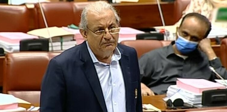 انتخابات میں تاخیر سے وفاق کیلیے سنگین نتائج ہوں گے، رضا ربانی