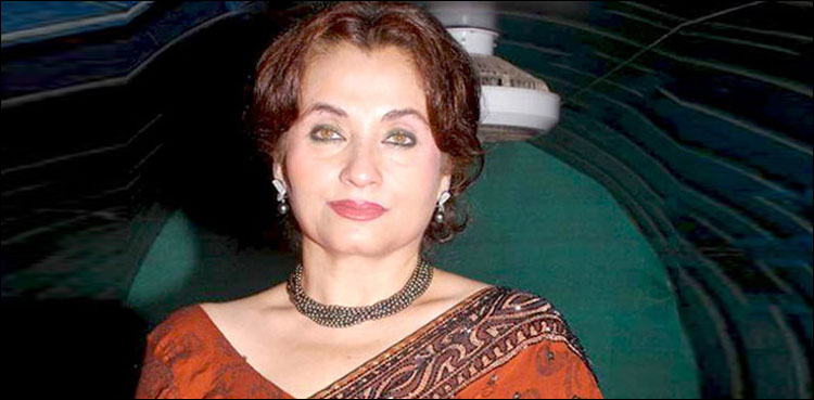 میری بیٹی میرا فخر ہے: سلمیٰ آغا کی بیٹی کے لیے ایوارڈ