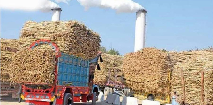 کاشت کاروں کے ساتھ ناروا سلوک : شوگرملز مالکان کیخلاف مقدمہ