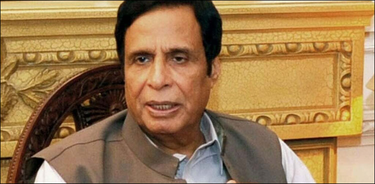 تحریک انصاف کیساتھ اتحاد ہرلمحے مضبوط تر ہو رہا ہے، پرویز الٰہی