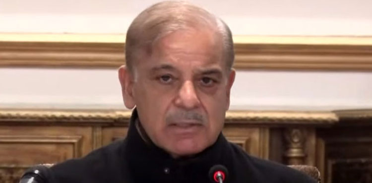 قوم اور تاریخ سانحہ 9 مئی کے کرداروں کو کبھی معاف نہیں کرے گی، وزیراعظم