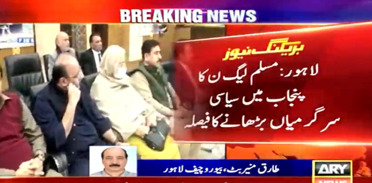 مسلم لیگ ن کا پنجاب میں سیاسی سرگرمیاں بڑھانے کا فیصلہ
