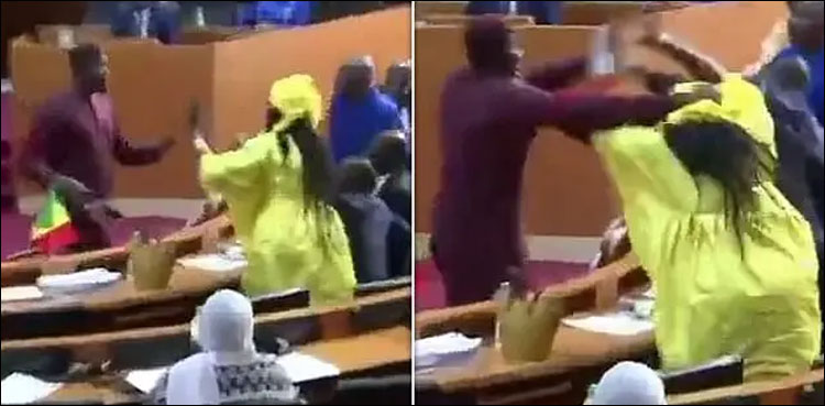 سینیگال پارلیمنٹ میں اپوزیشن رکن نے خاتون کو تھپڑ مار دیا، ویڈیو وائرل