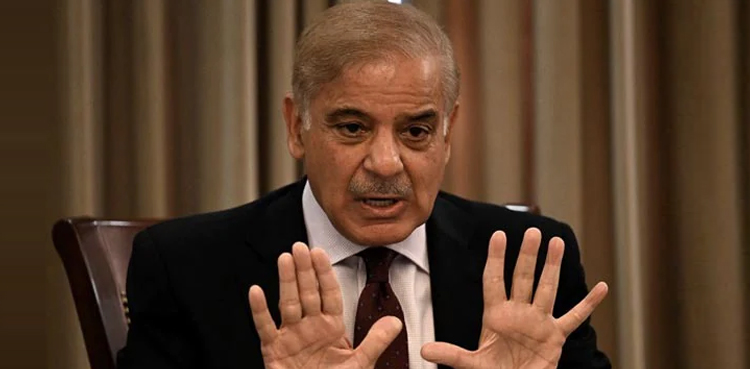 مجرموں کو عبرت کا نشان بنائیں گے، وزیراعظم شہباز شریف