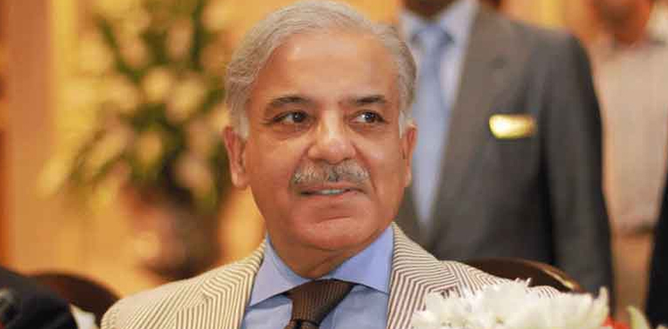 معیشت بدحال، عوام مہنگائی کی یلغار لیکن شہباز حکومت کی شاہ خرچیاں جاری