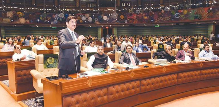 سندھ اسمبلی کی تاریخ میں پہلی بار خاتون پارلیمانی لیڈر بن گئیں