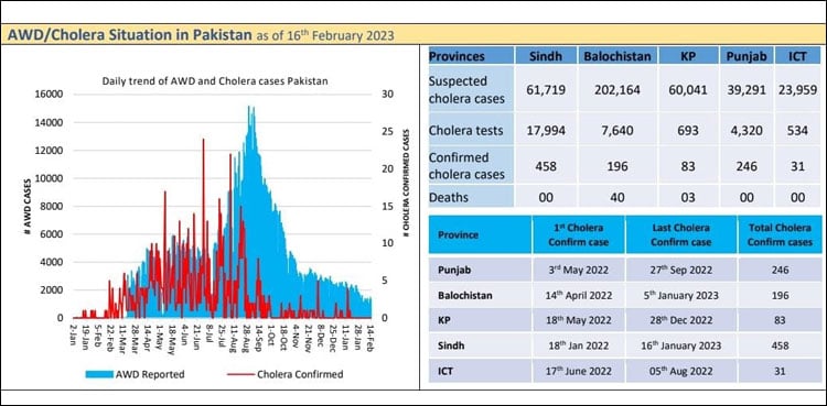 ملک ہیضے کی وبا کی لپیٹ میں، چودہ ماہ میں 4 لاکھ کے قریب مشتبہ کیسز رپورٹ