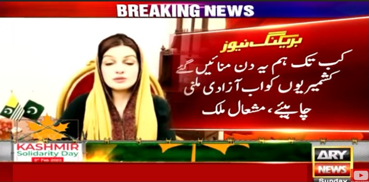 کب تک ہم یہ دن منائیں گئے، کشمیریوں کو اب آزادی ملنی چاہیے، مشعال ملک