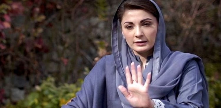 لیگی کارکن