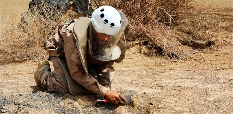 یمن: سعودی عرب کی معاونت سے بارودی سرنگیں صاف کرنے کا کام جاری