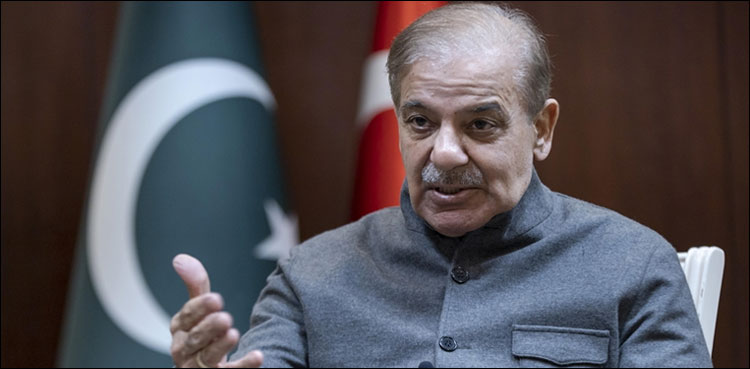 تمام مسلم ممالک ترکیہ کے لیے ریلیف پیکج کا اعلان کریں: وزیر اعظم