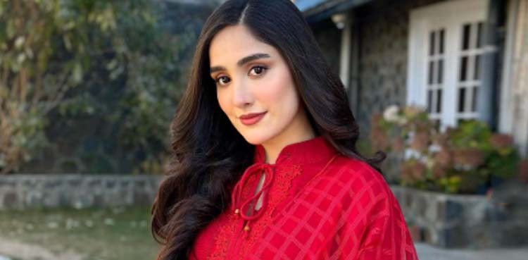 ’لمبی ہے غم کی شام‘ عائزہ اعوان سوشل میڈیا پر چھا گئیں