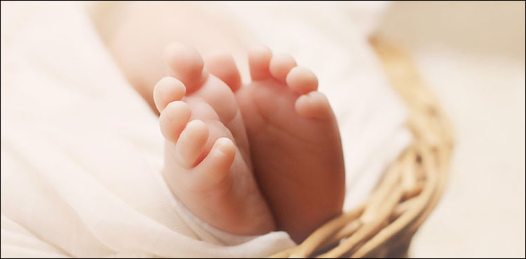رونے کی آواز نے نوزائیدہ بچی کو بچا لیا