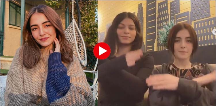 میرب علی کی ویڈیو مداحوں کو بھا گئی