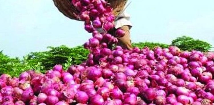 پیاز کے سرکاری نرخ کیا ہیں اور مارکیٹ میں کتنی قیمت پر فروخت ہو رہی ہے؟