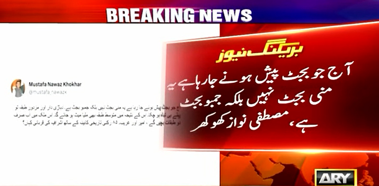‘جو بجٹ پیش ہونے جا رہا ہے، وہ منی بجٹ نہیں بلکہ جمبوبجٹ ہے’