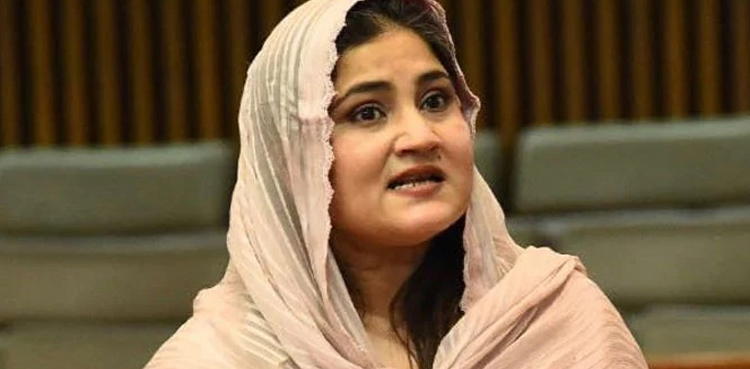سیلز ٹیکس کی شرح میں اضافہ: سائرہ بانو نے بڑا مطالبہ کردیا