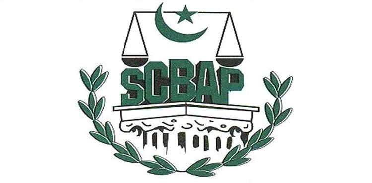 سپریم کورٹ بار کا ملک بھر میں یوم سوگ منانے کا اعلان