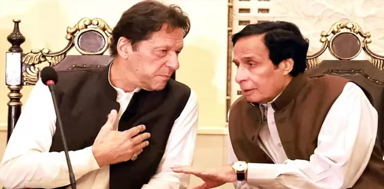 پرویز الہٰی پاکستان تحریک انصاف کے صدر مقرر