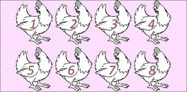 10سیکنڈ میں بتائیں : کون سی مرغی سب سے مختلف ہے؟