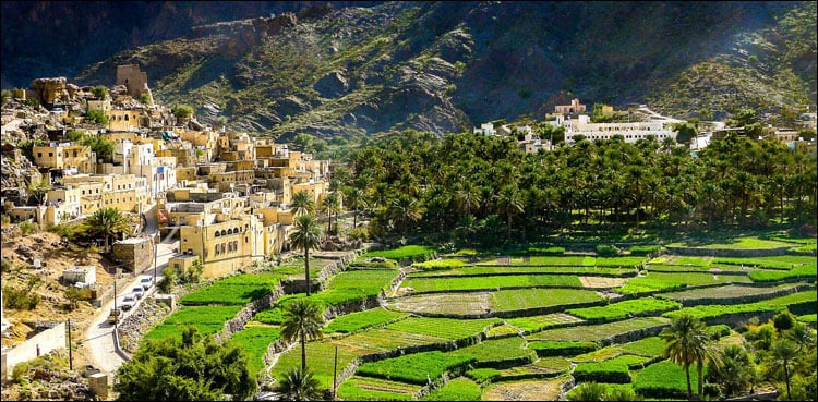 عمان میں کچرہ پھیکنے پر 100 ریال جرمانے سے کیسے بچیں؟