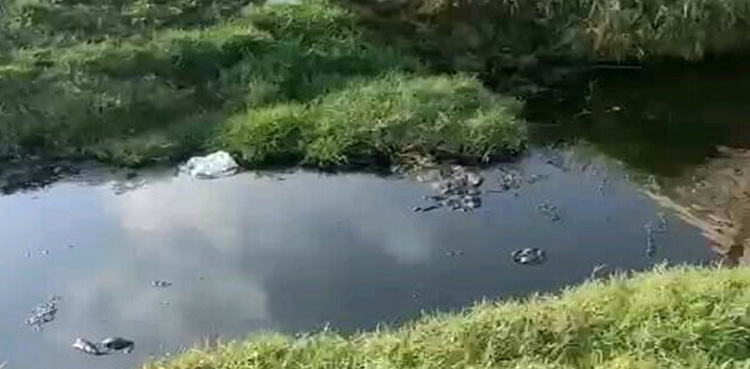 پارکو