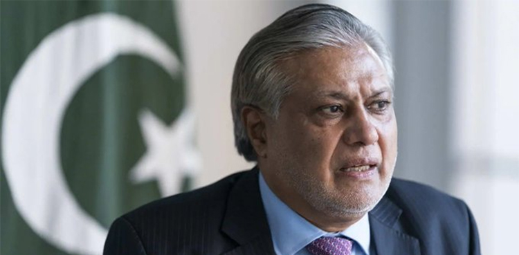 اسحاق ڈار یومِ استحصال کشمیر