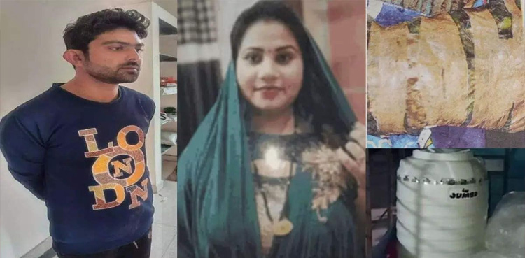 سفاک شوہر نے بیوی کے 6 ٹکڑے کرکے ٹینکی میں چھپا دیے