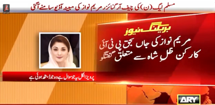 مریم نواز کی  جاں بحق پی ٹی آئی کارکن ظلِ شاہ سے متعلق گفتگو کی مبینہ آڈیو لیک