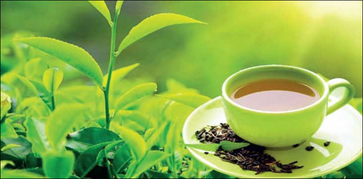 چائے کی درآمد کم ہو گئی