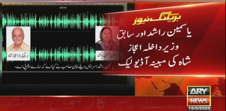 یاسمین راشد کی ایک اور مبینہ آڈیو لیک  ہوگئی