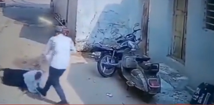 خاتون