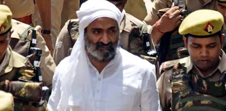 اشرف احمد