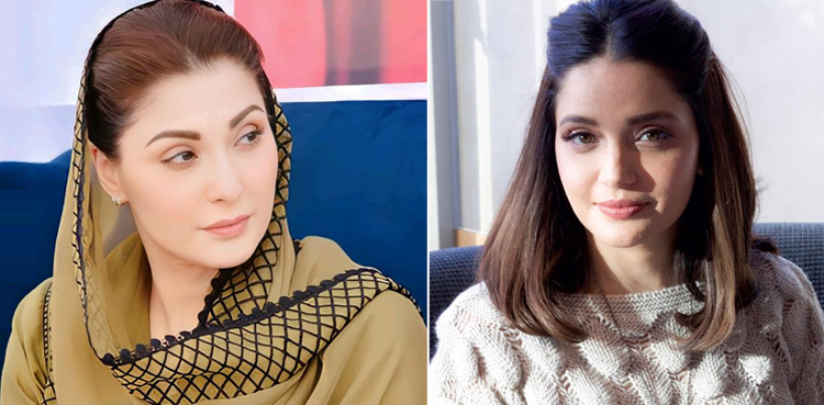 اداکارہ ارمینہ خان کو مریم نواز پر تنقید مہنگی پڑ گئی