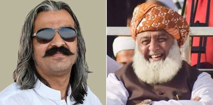 علی امین کے بال کاٹنے کے سوال پر فضل الرحمان اپنی ہنسی نہ روک پائے