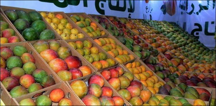 سعودی عرب میں آم کی پیداوار سے متعلق اہم خبر