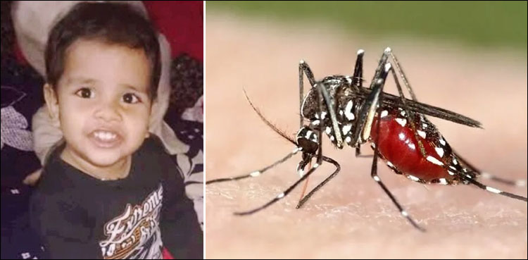 افسوسناک واقعہ، بچے نے حادثاتی طور پر مچھر مار دوا پی لی