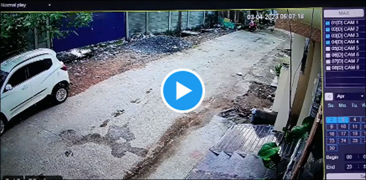 وائرل ویڈیو: کتوں سے ڈری اسکوٹی سوار خواتین کے ساتھ دل دہلا دینے والا حادثہ