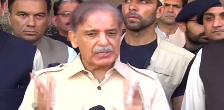 نوازشریف نے جو وعدے کیے ان کو پورا کیا، شہباز شریف