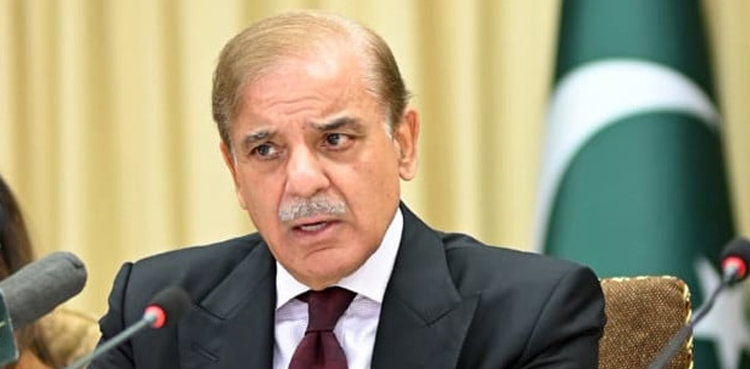 آٹا بحران، وزیر اعظم سے انجنیئر امیر مقام کا ازبکستان سے رابطہ