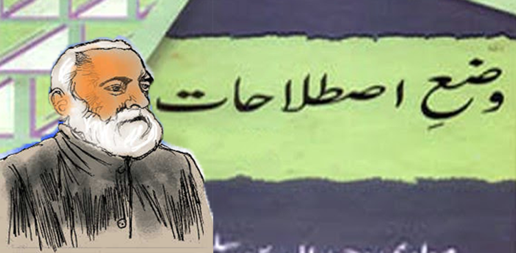 ایک نگینہ جو چَٹ سے ٹوٹ گیا!