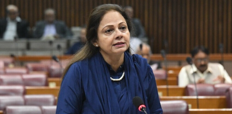 پاکستان پیرس کلب یا دیگر عالمی مالیاتی اداروں سے قرضے ری شیڈول نہیں کرائے گا، وزیر مملکت