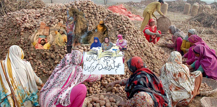 بے شمار محنت کش عورتوں کی محنت کسی شمار میں نہیں