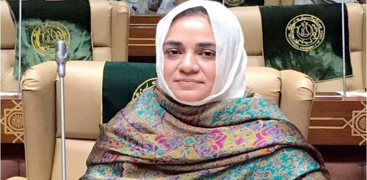 پی ٹی آئی ایم پی اے رابعہ اظفر بھی پارٹی چھوڑ گئیں