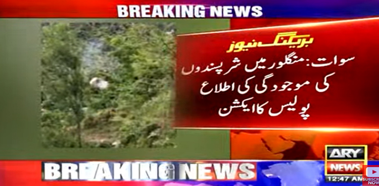سوات میں پولیس اور شرپسندوں میں مقابلہ، اسپتالوں میں ایمرجنسی نافذ