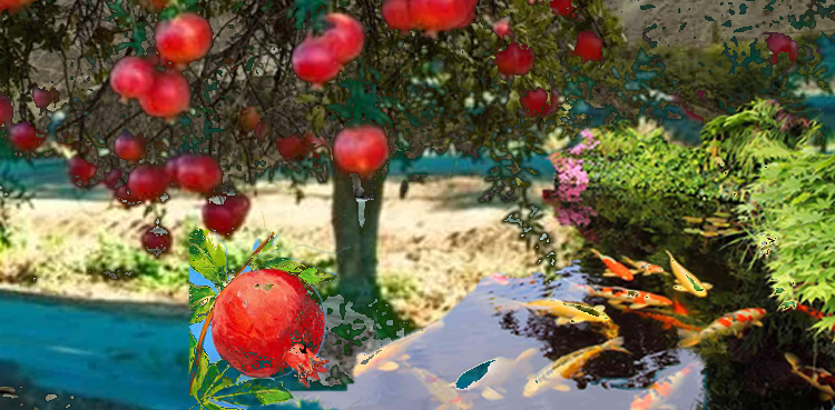 انار اور مچھلی (ایران کی لوک کہانی)